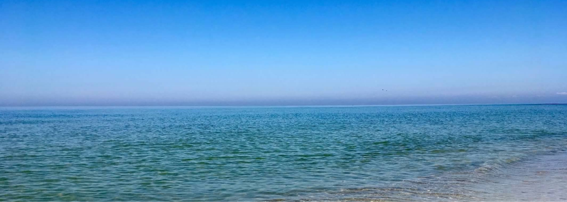 Golf Cart Rentals serving Indian Pass, Cape San Blas, St. Joseph Peninsula State Park, City of Port St. Joe, Windmark Beach, and St. Joe Beach locations!